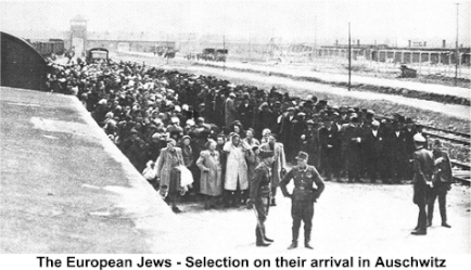 holocaust people working